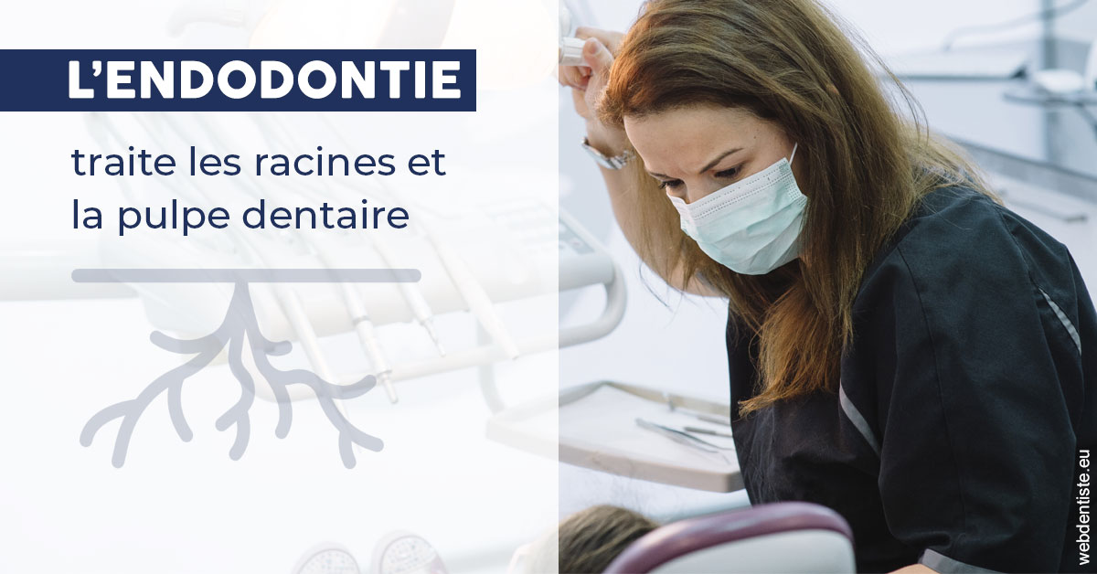 https://dr-mauro-fabien.chirurgiens-dentistes.fr/L'endodontie 1