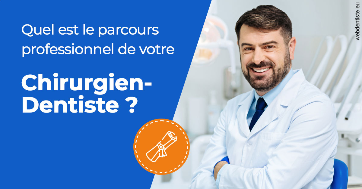 https://dr-mauro-fabien.chirurgiens-dentistes.fr/Parcours Chirurgien Dentiste 1