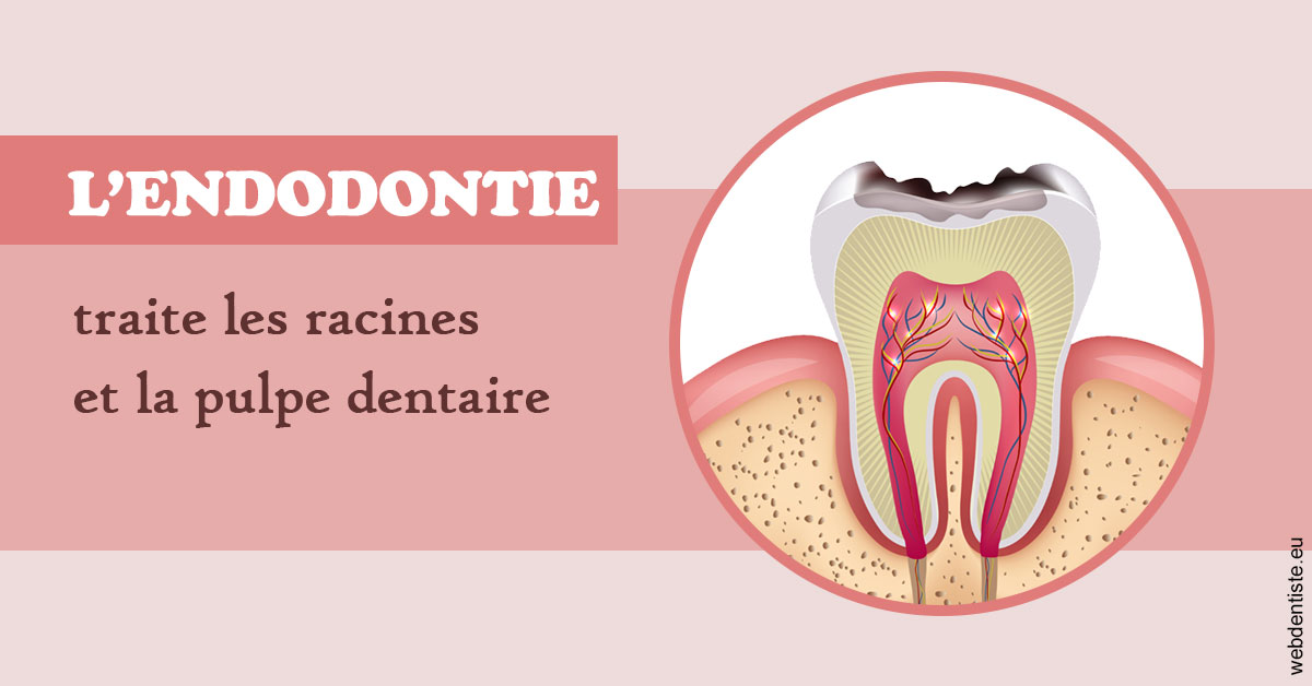 https://dr-mauro-fabien.chirurgiens-dentistes.fr/L'endodontie 2