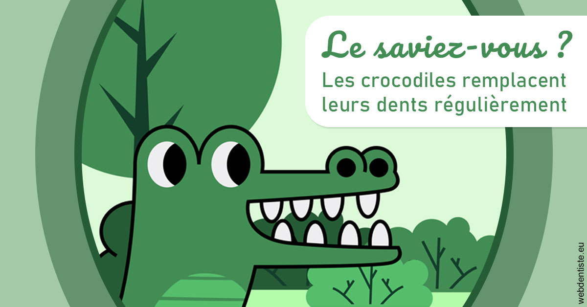https://dr-mauro-fabien.chirurgiens-dentistes.fr/Crocodiles 2