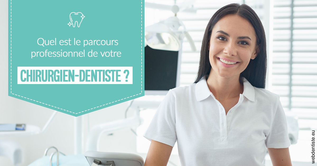https://dr-mauro-fabien.chirurgiens-dentistes.fr/Parcours Chirurgien Dentiste 2