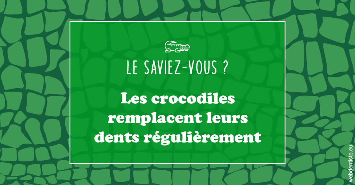 https://dr-mauro-fabien.chirurgiens-dentistes.fr/Crocodiles 1